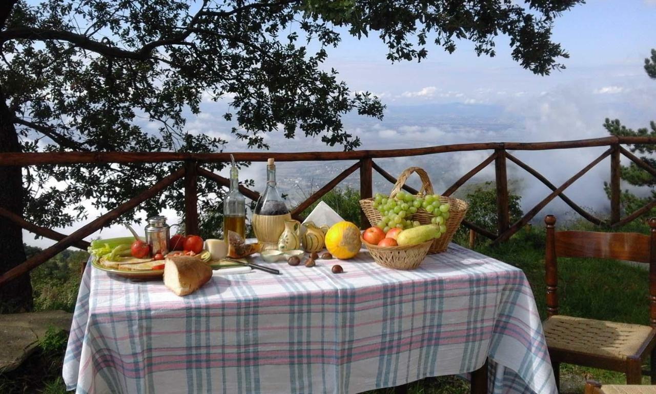 La Casa Gialla Belvedere Cortona Exterior foto